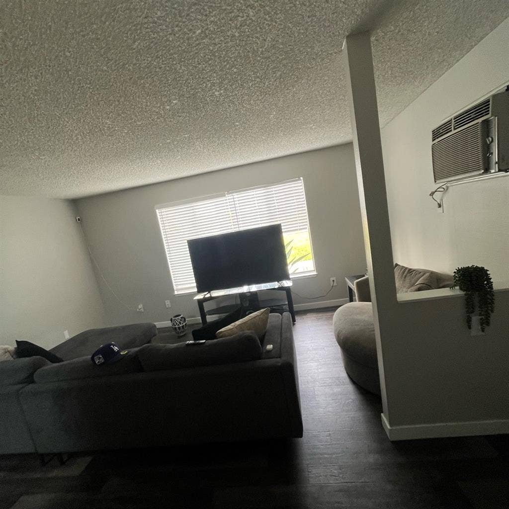 1 Bd apartment