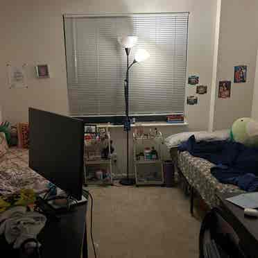 Shared Room near Tysons for $