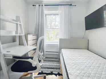 Furnished Room in Bushwick