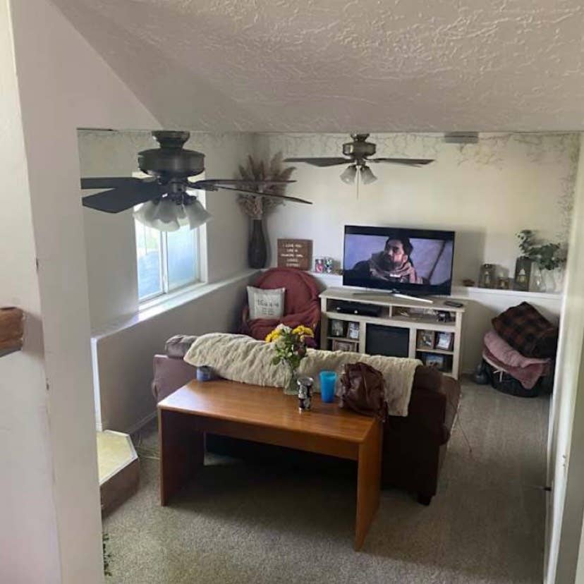 Looking for a third roommate:)