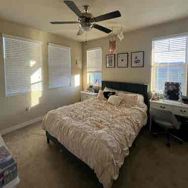 North Scottsdale Room for Rent