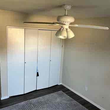 Room for Rent in Central Plano