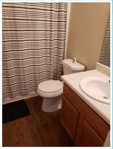 Looking for a roommate