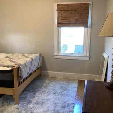 Greenville room for rent