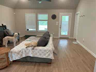 Poodle house with tree forest view