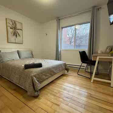 Co Location Plateau Mont-Royal