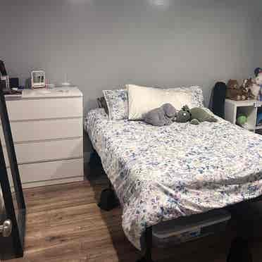 ROOMMATE NEEDED FOR A SHARED ROOM