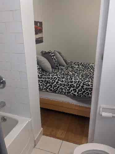 Female. Room, bathroom & den 4 rent