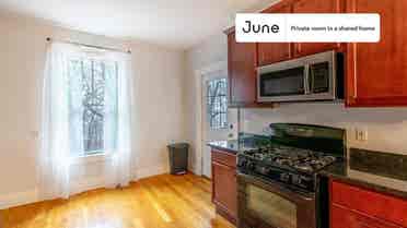 5 BR in Boston