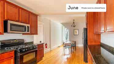 5 BR in Boston