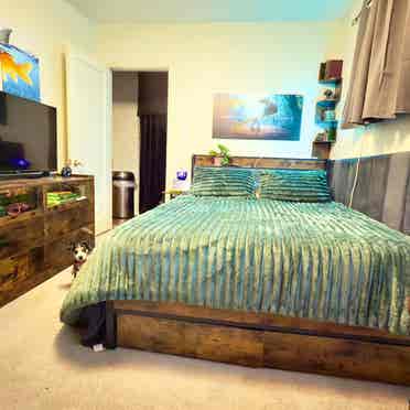 Thoughtfully Furnished Room