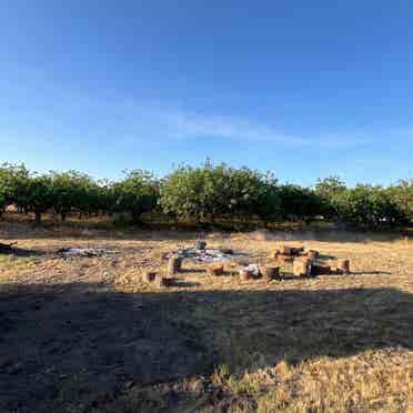 Country living near Clovis South