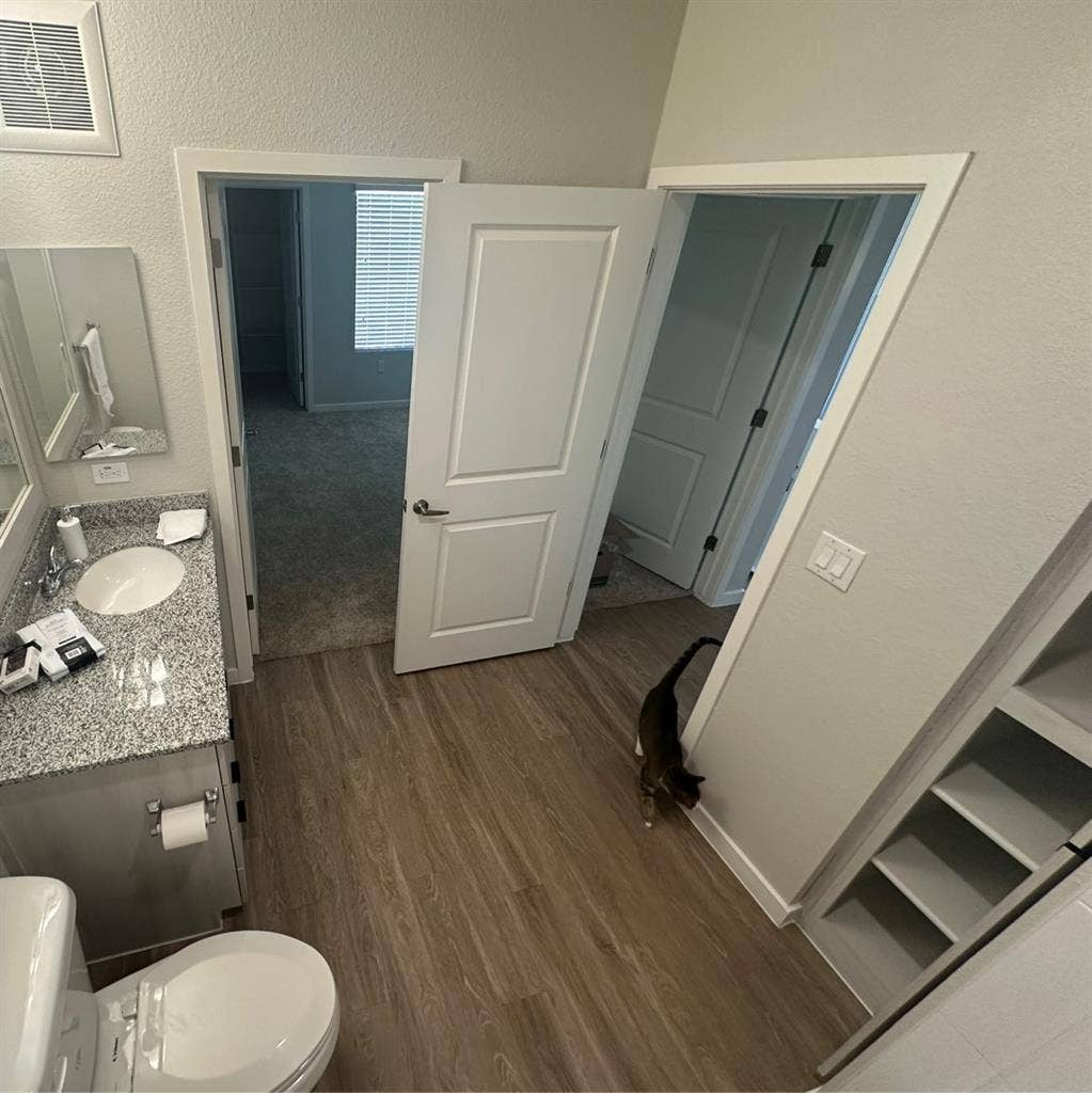 Room for rent $+ utilities