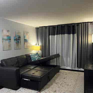 Room to rent in Streeterville