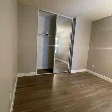 Room available UCR & Canyon Crest