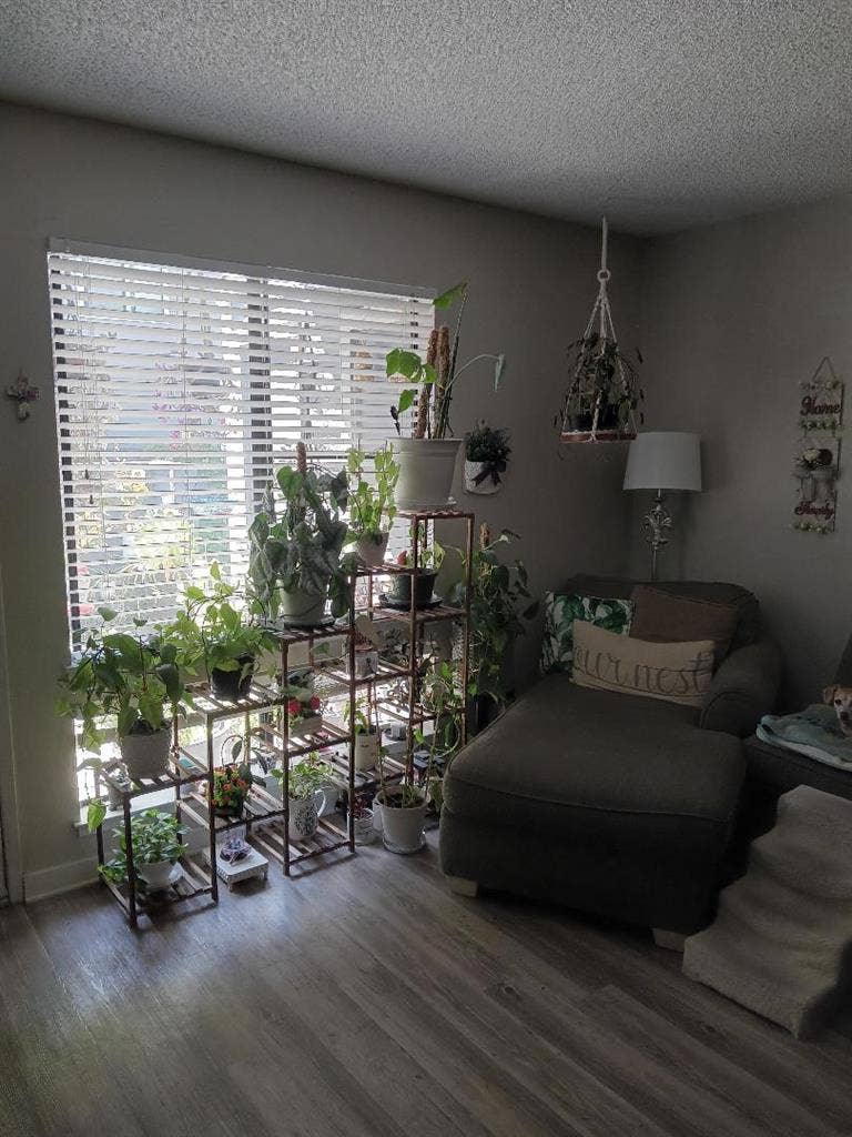 LOOKING FOR ROOMMATE - BA APT