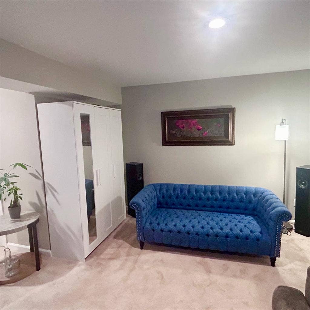 Basement studio for rent lake ridge