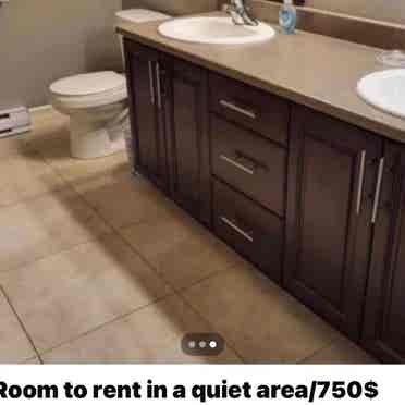 Room to rent in a townhouse