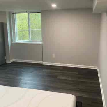 Fully renovated basement apt