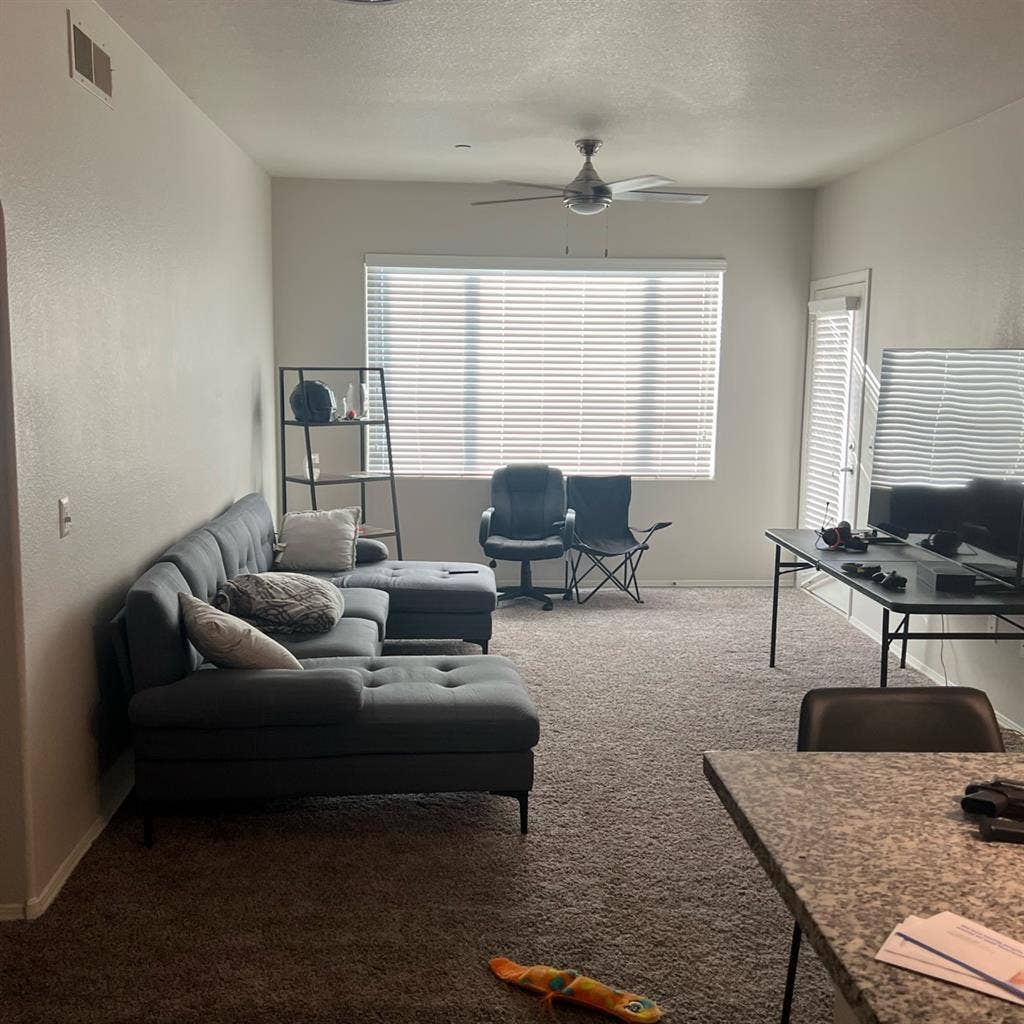 Looking for roommate male/female