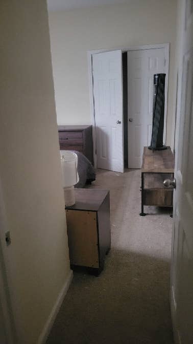 Need roommate starting Jan