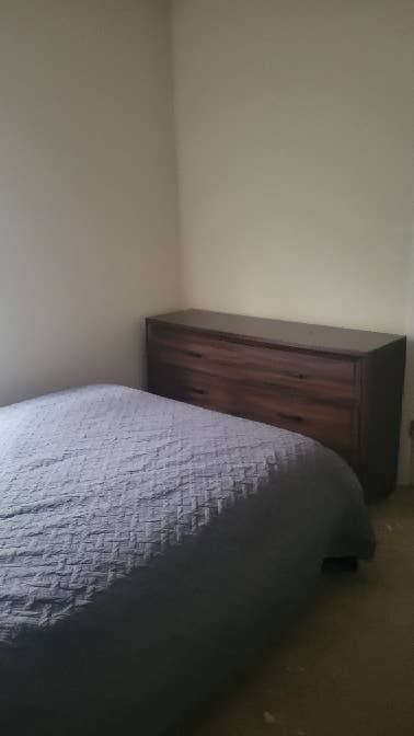 Need roommate starting Jan