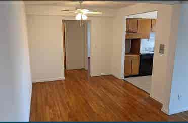 Large B Apt in Hyde Park