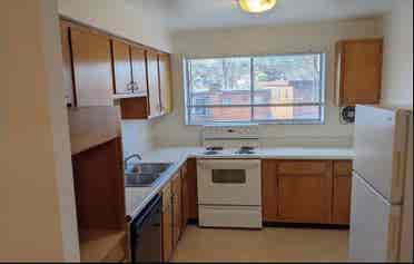 Large B Apt in Hyde Park