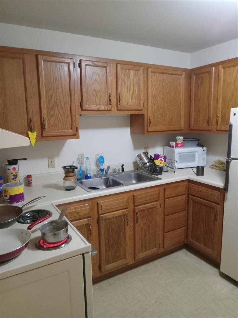 Student looking for roommate