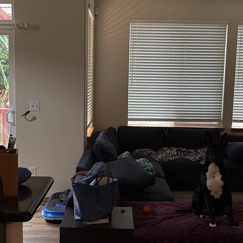 Looking for roommates/tenants!