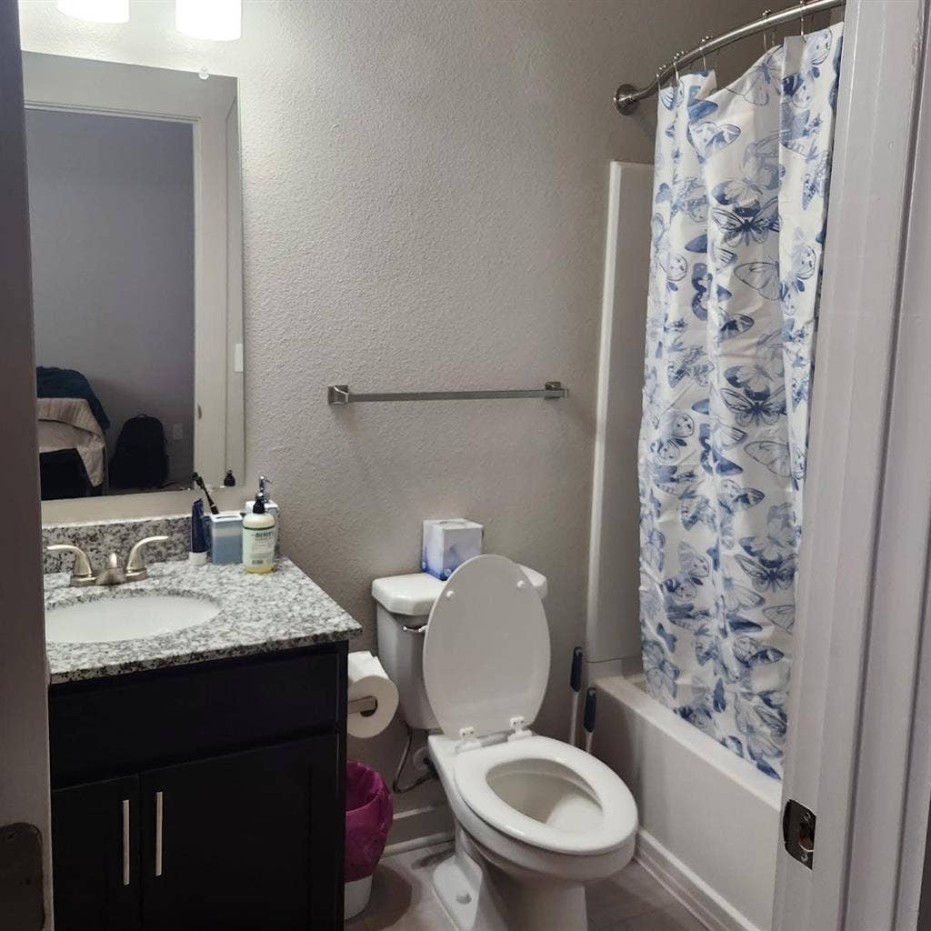 Roommate needed