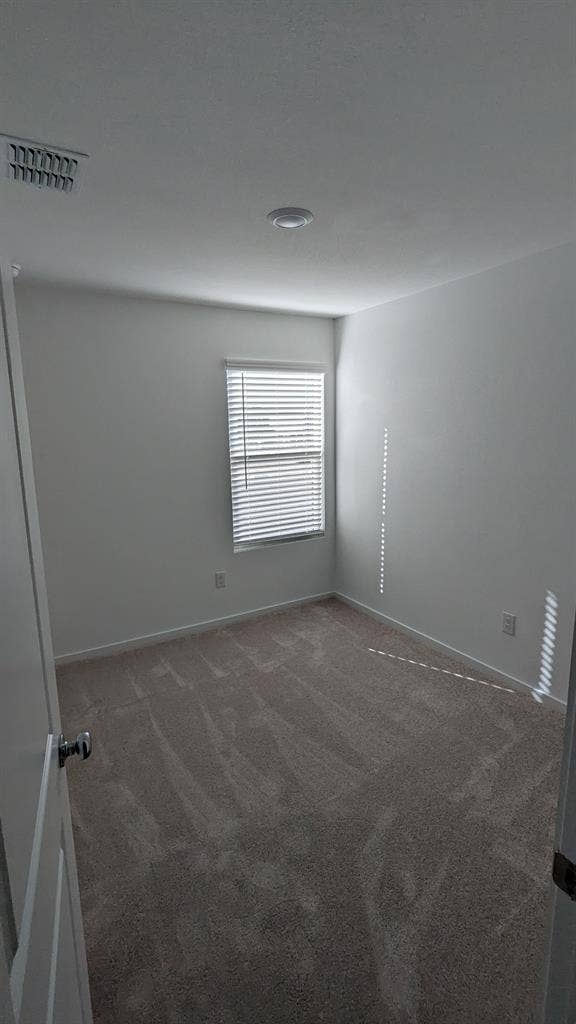 Room For Rent in Princeton