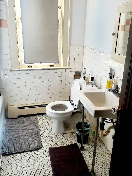 Furnished 1br apt near downtown