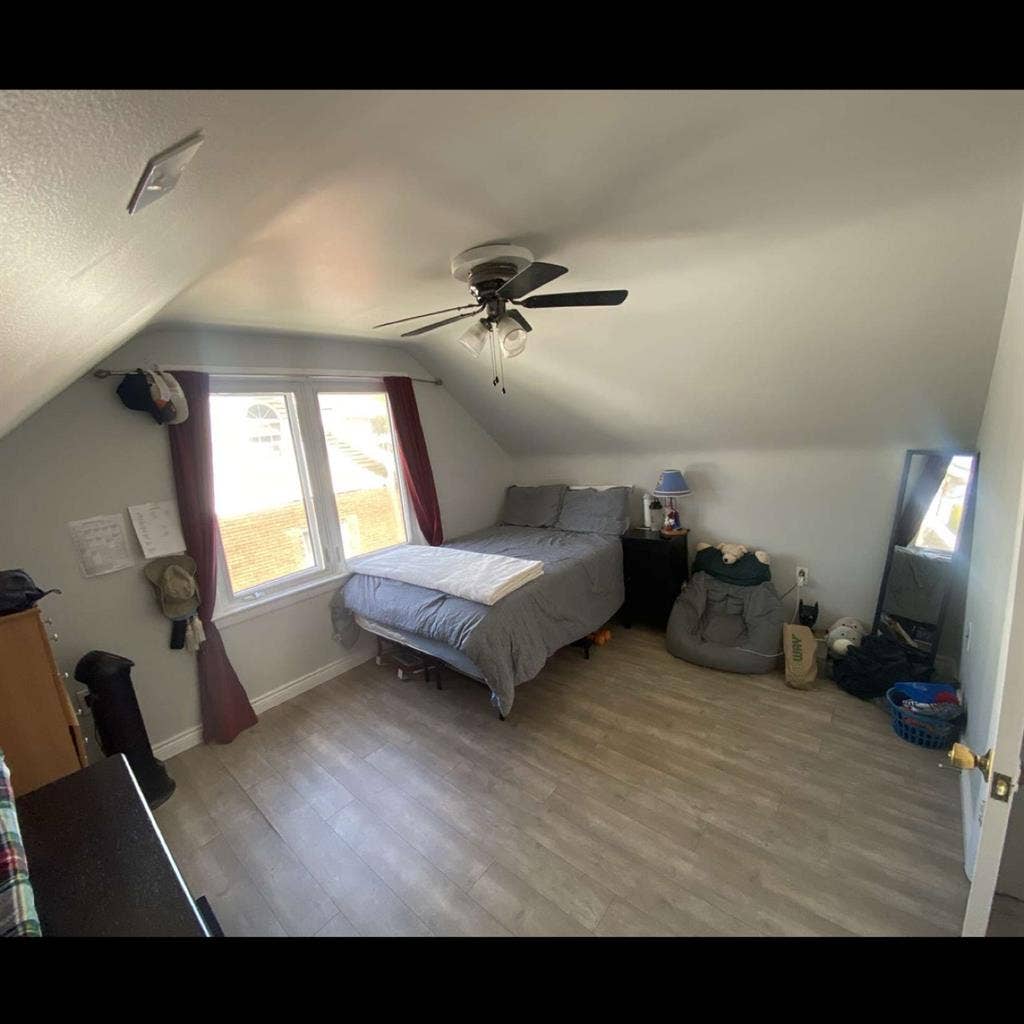 Roommate Needed