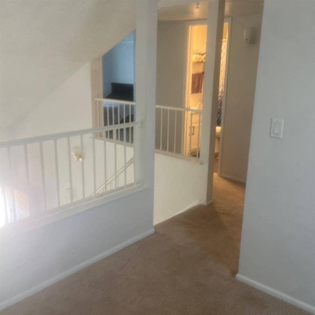 Looking for Roommate