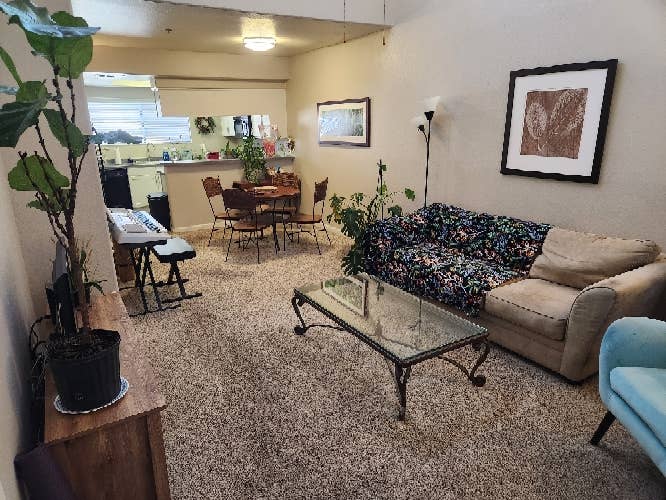 Looking for roommate to rent with!