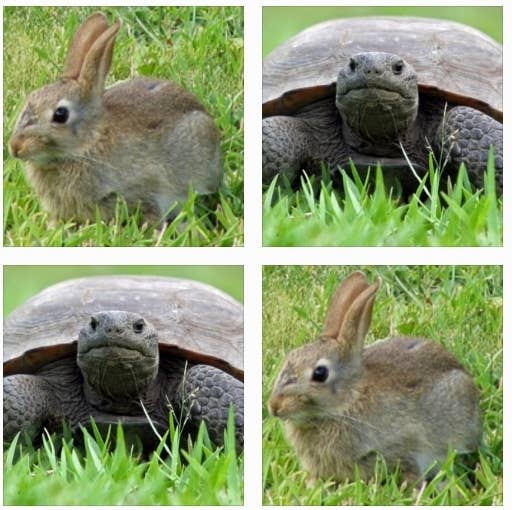 Ideal quiet place on 5 acres - UCF.