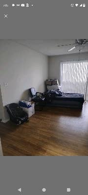 Looking for a male roommate