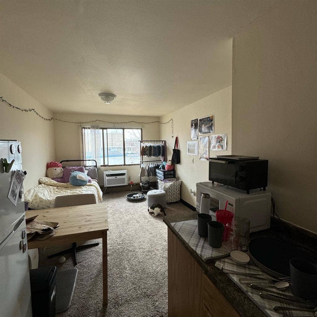 UW MADISON SPRING SUBLEASE!!