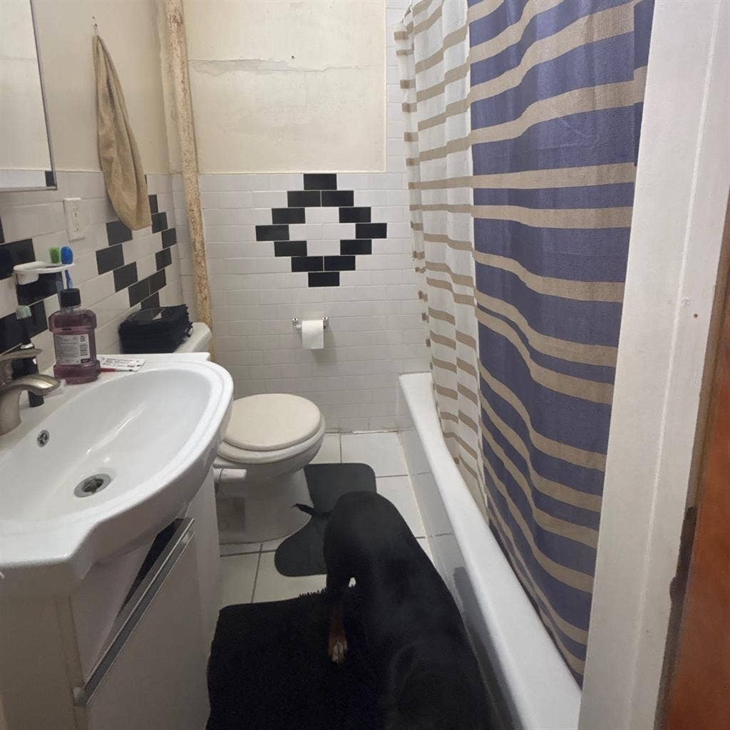 Looking for roommate 950 a month