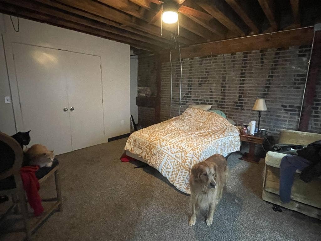 Searching for Roommate!