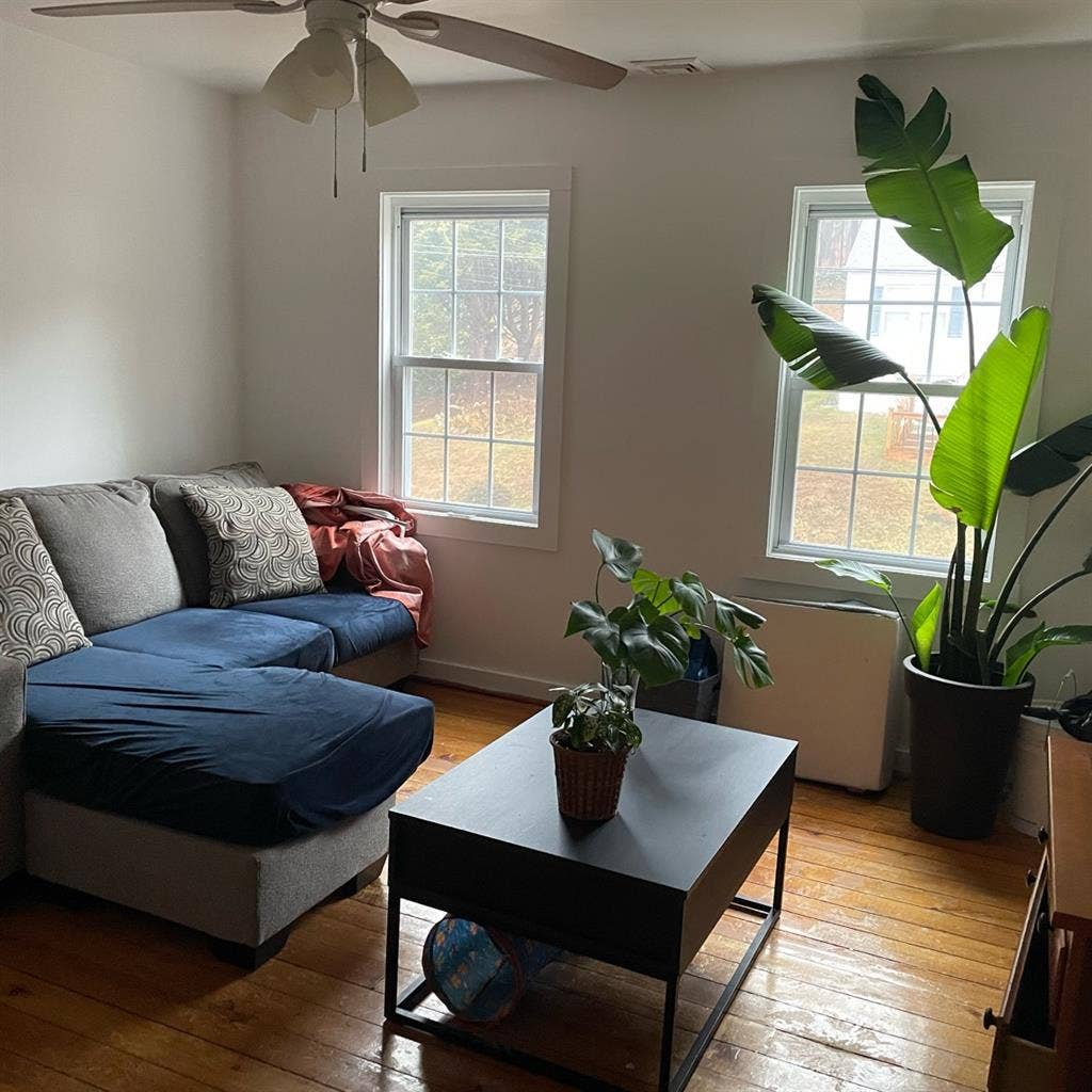 Looking for a roommate