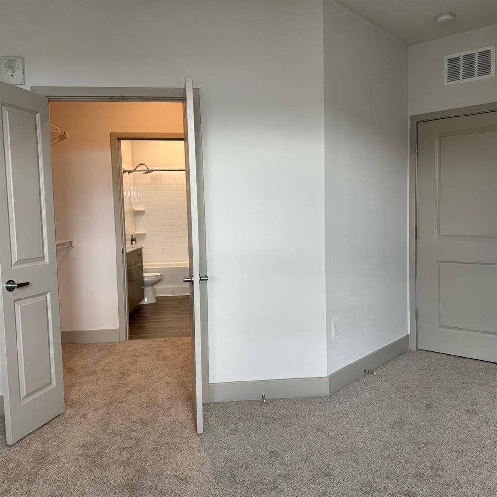 Spacious room and walk in closet