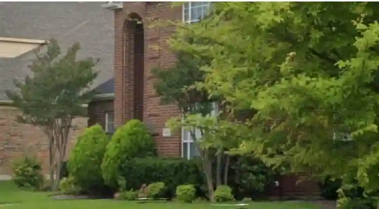 Beautiful room for rent
plano west