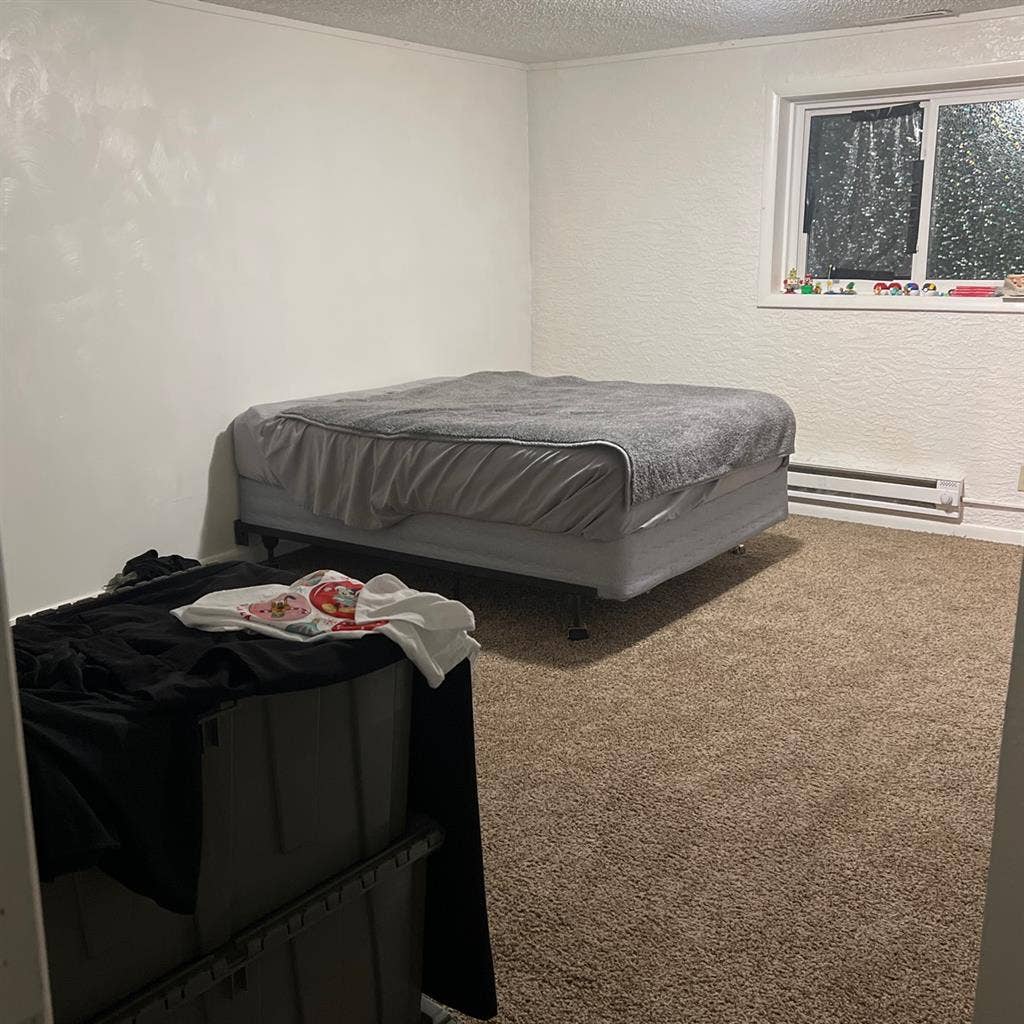 Looking for a responsible roommate!