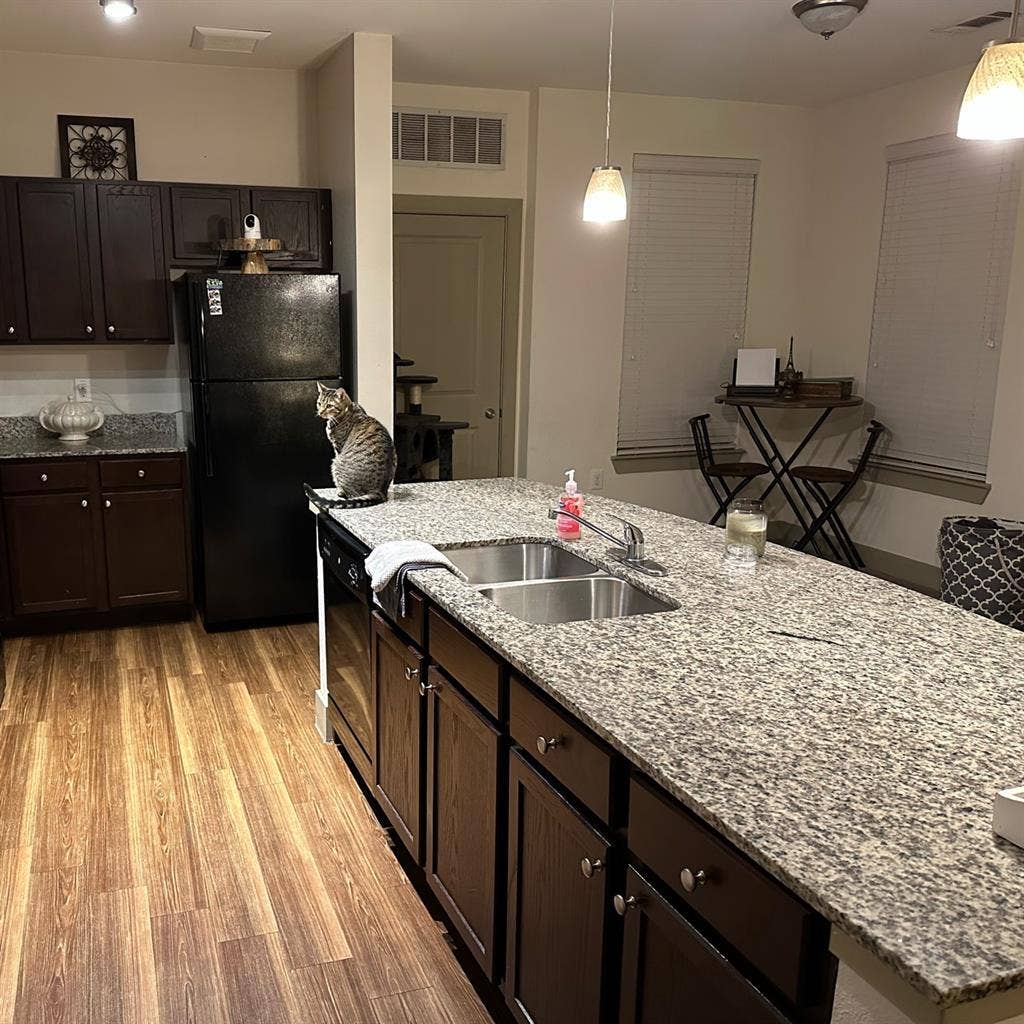 Room for rent- McKinney