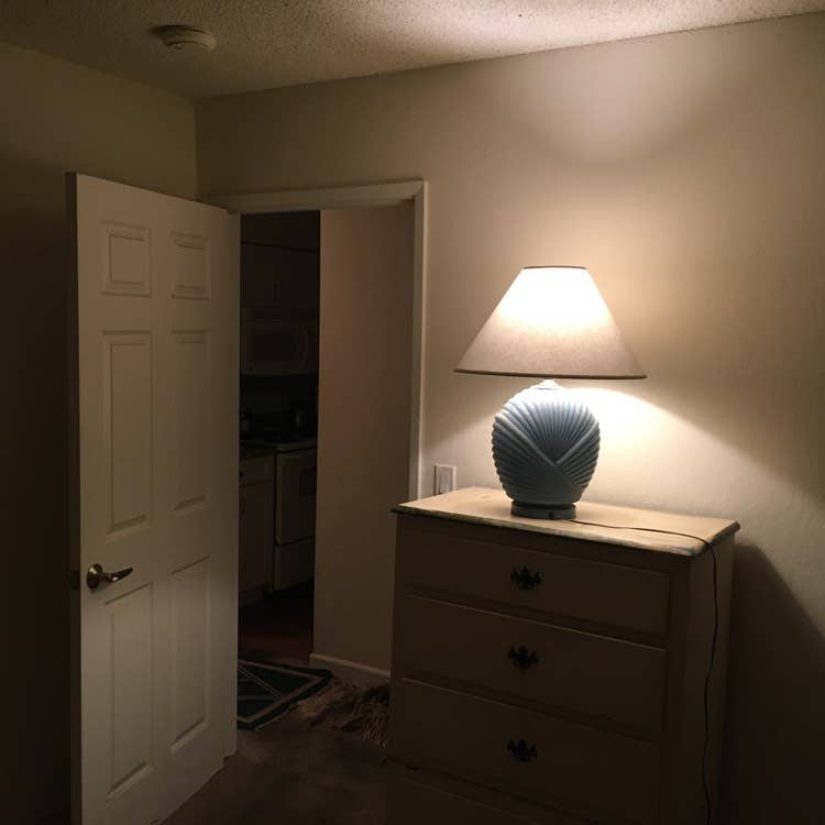 Single bedroom available