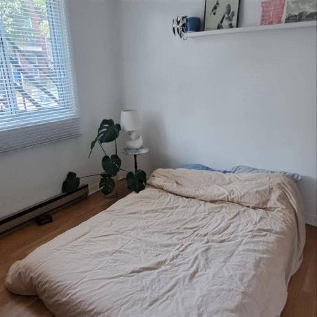 Sous location appartement janvier