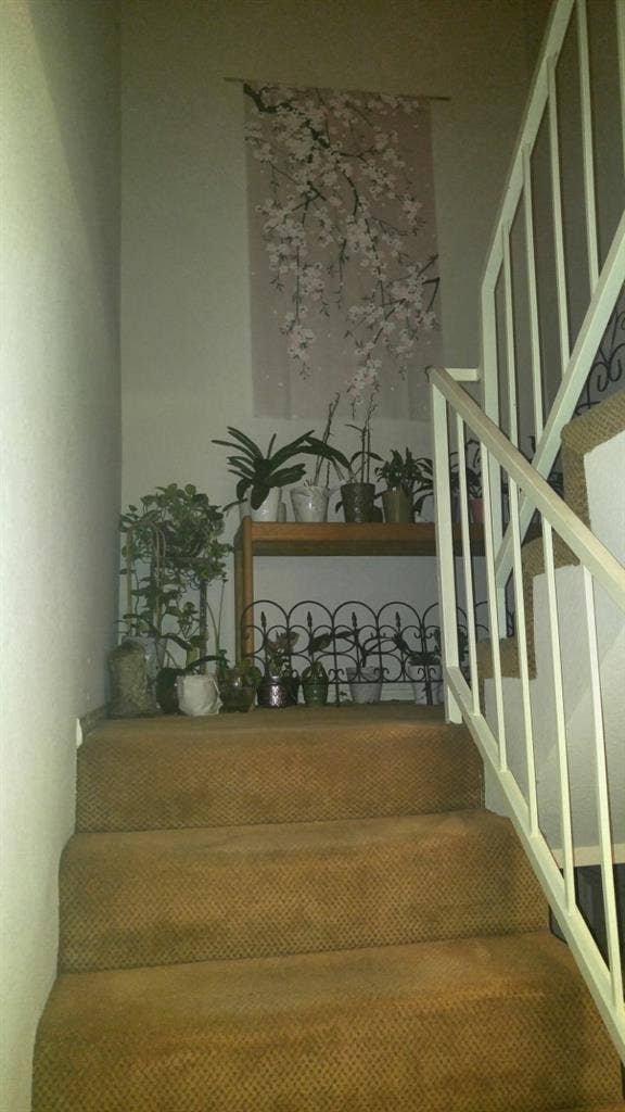 Room for rent in a Established Home