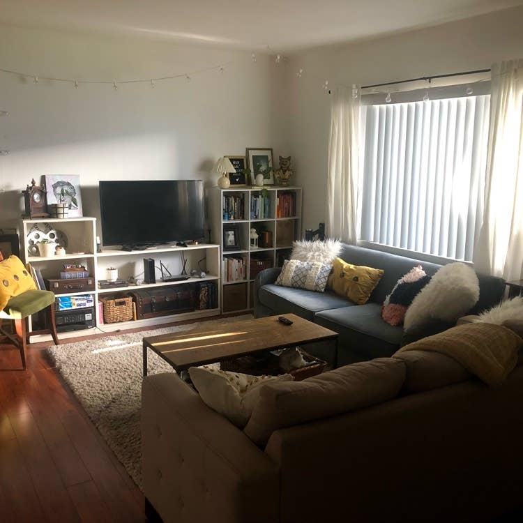 Roommate for two bed near UCLA